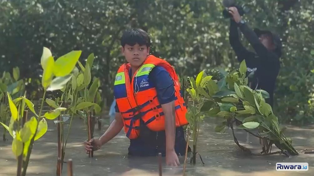 Harley Fatahillah Yodhaloka Sunoto berjibaku dengan lumpur di kawasan Mangrove